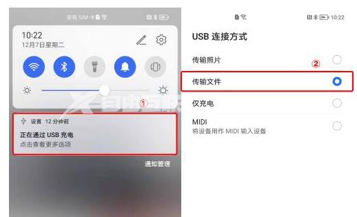 MagicOS 7.0怎么退回6.0插图3