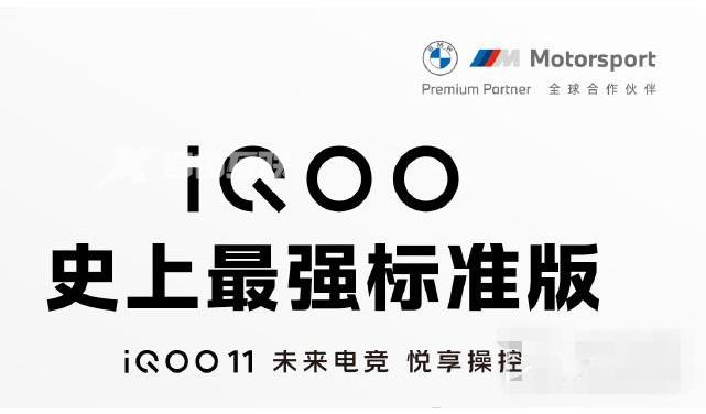 价格相差一千，相比Pro版，iQOO 11标准版性价比更高插图1