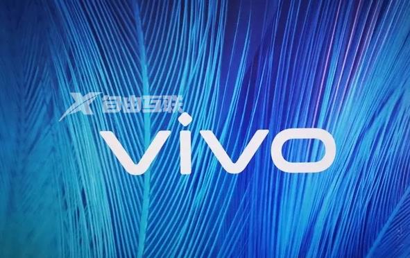 vivo X90系列，iQOO 11 系列，iQOO Neo7 SE怎么选？插图1