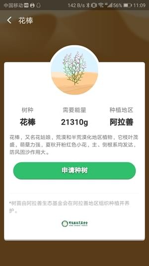 蚂蚁森林花棒是什么 蚂蚁森林花姑娘这么种