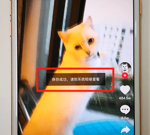 抖音视频怎么保存到手机 抖音视频怎么下载到手机