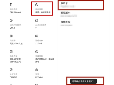 opporeno6开发者选项在哪里？opporeno6开发者选项位置介绍截图
