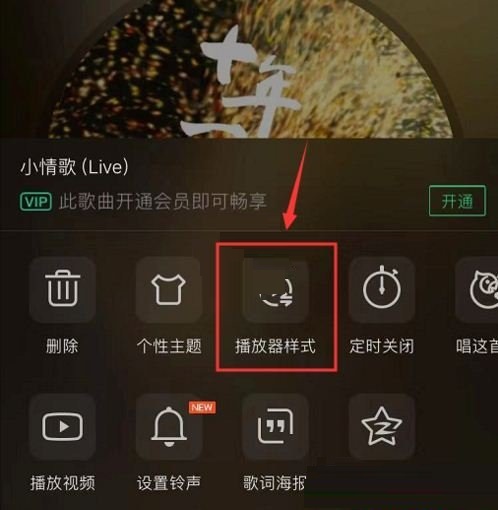 QQ音乐怎么设置歌手写真模式播放器？QQ音乐设置歌手写真模式播放器详细教程截图