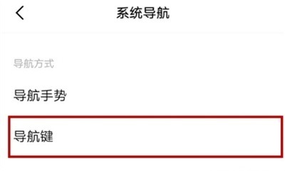 vivoy52s怎么设置返回键？vivoy52s设置返回键操作方法截图