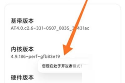 小米12开发者选项怎么打开?小米12开发者选项打开步骤分享截图