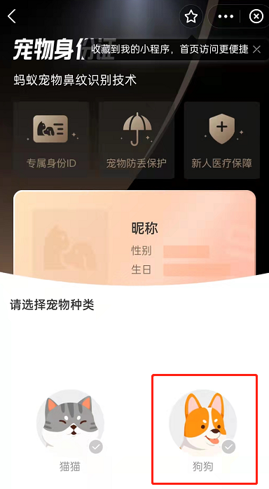 支付宝怎么领取宠物身份证？支付宝获取宠物身份证教程一览截图