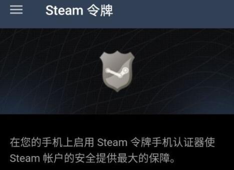 steam手机版看不了密保怎么办?steam手机版看不了密保解决方法