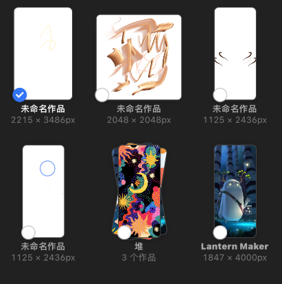 procreate pocket怎么预览作品？procreate pocket预览图片教程截图