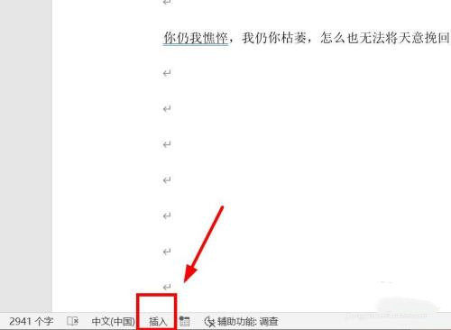 WPS文档编辑时吞字怎么办