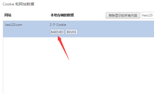 清除谷歌Chrome浏览器中某个网站的Cook