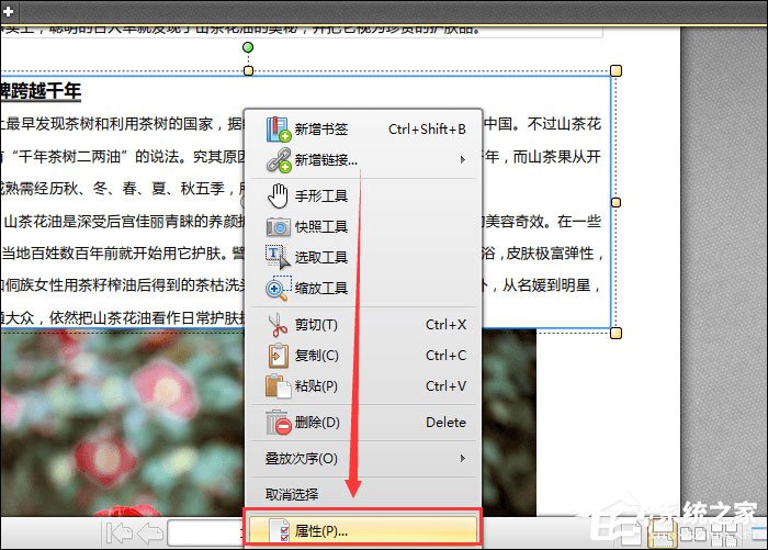 PDF文件怎么加粗字体？