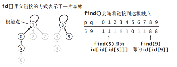 并查集的表示方式