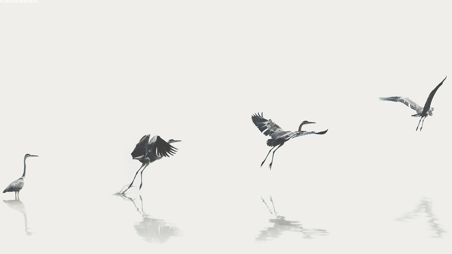 浅尝Spring注解开发_自定义注册组件、属性赋值、自动装配