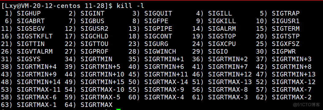 [ Linux ] Linux信号概述  信号的产生_signal_08