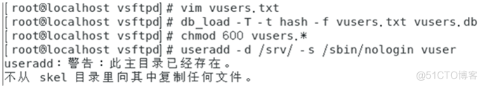 I rootblocalhost vs ftpdl# 
m vusers. txt 
I vs ftpdl# db _ load . T t hash -f "users. Vusers. db 
host v s f t Chmod 600 V users. • 
root8tocathost v st t useradd - d / srv/ -s /sbin/notogin vuser 
useradd: 