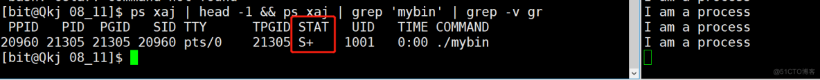Linux进程理解_pid_41