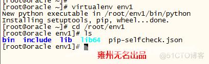 virtualenv--python沙盒环境安装_虚拟环境_06