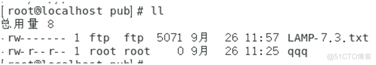 root'localhost publg 
• 1 ftp ftp 5071 9g 
I root root 
26 11:57 LAYP.7.3.txt 
26 11:25 qqq 