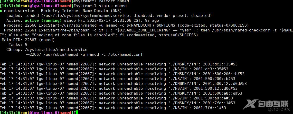 68、Linux DNS实现_配置文件_10