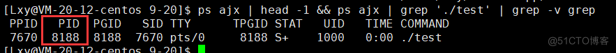 [ Linux ] 进程概念，pcb，查看进程，pid，ppid，fork_父进程_39