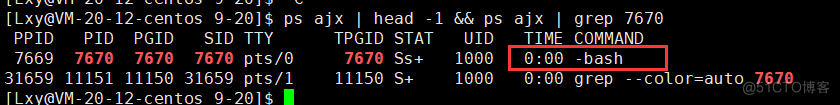 [ Linux ] 进程概念，pcb，查看进程，pid，ppid，fork_fork_54