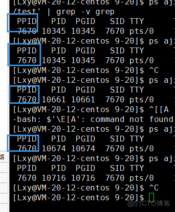 [ Linux ] 进程概念，pcb，查看进程，pid，ppid，fork_子进程_51