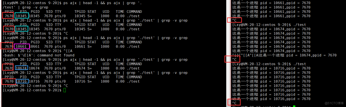 [ Linux ] 进程概念，pcb，查看进程，pid，ppid，fork_fork_49