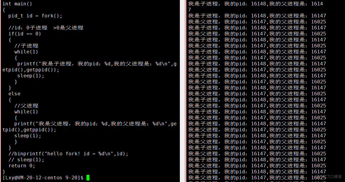 [ Linux ] 进程概念，pcb，查看进程，pid，ppid，fork_fork_67