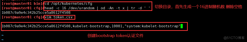 K8S二进制部署---单节点master_json_28