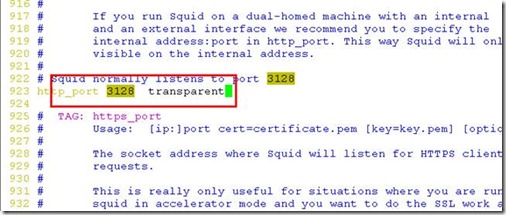 Iptables + L7 +squid 实现防火墙功能_blank_15