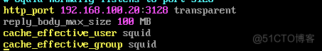 配置squid代理服务器_服务器_40