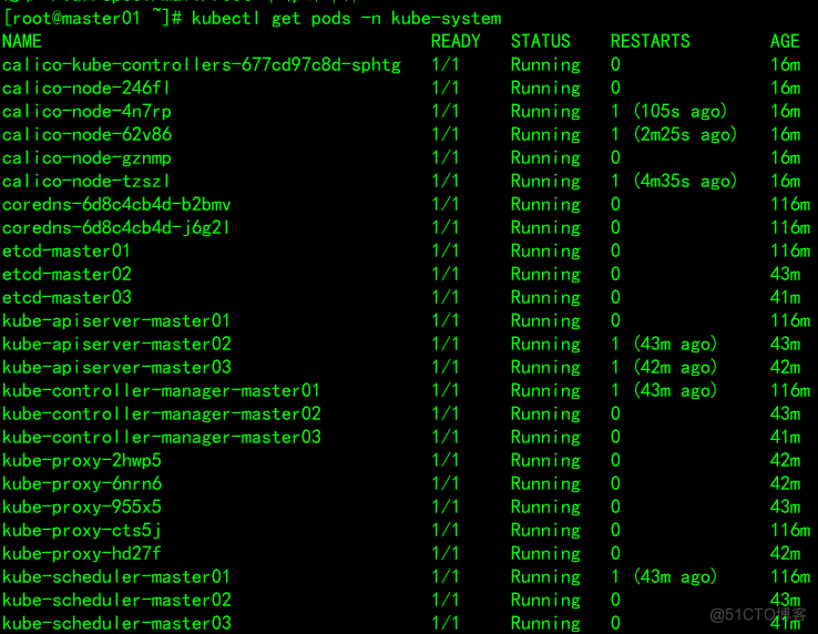 【kubernetes】kubeadm安装多master节点的k8s集群_nginx_15