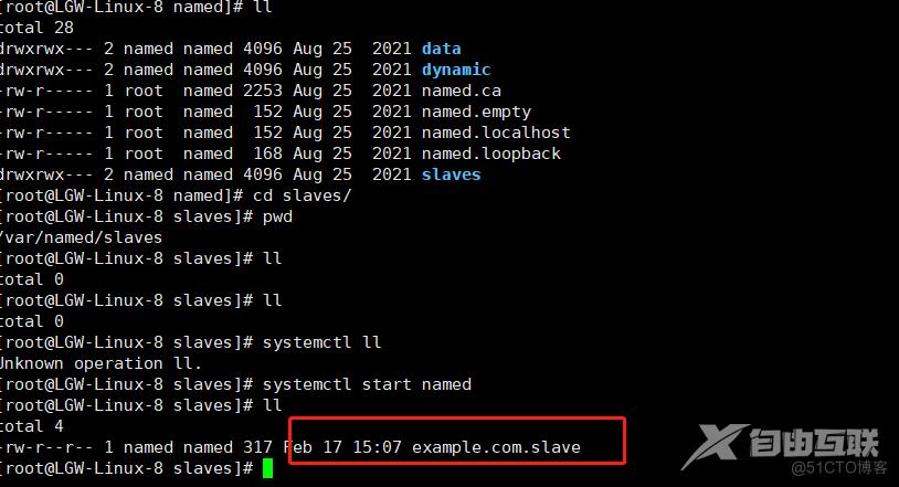 68、Linux DNS实现_配置文件_14