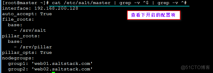 部署SaltStack及批量安装httpd服务