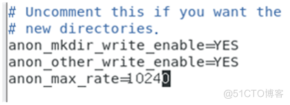 uncoMent this if you want the 
new directories. 
anon mkdir write 
anon other write enabledES 
anon max rate-*024 