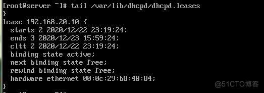 DHCP服务的搭建与配置_配置文件_22