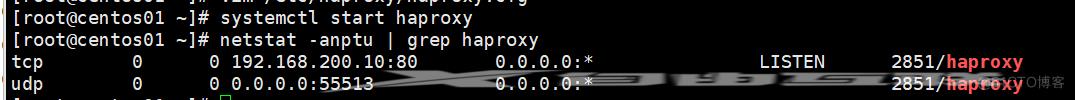 配置haproxy负载均衡群集_服务器_51