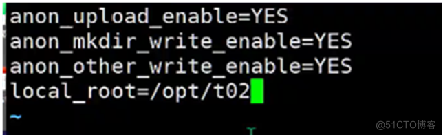 anon mkdir write enable—YES 
enable—YES 
Local _ root=/opt 