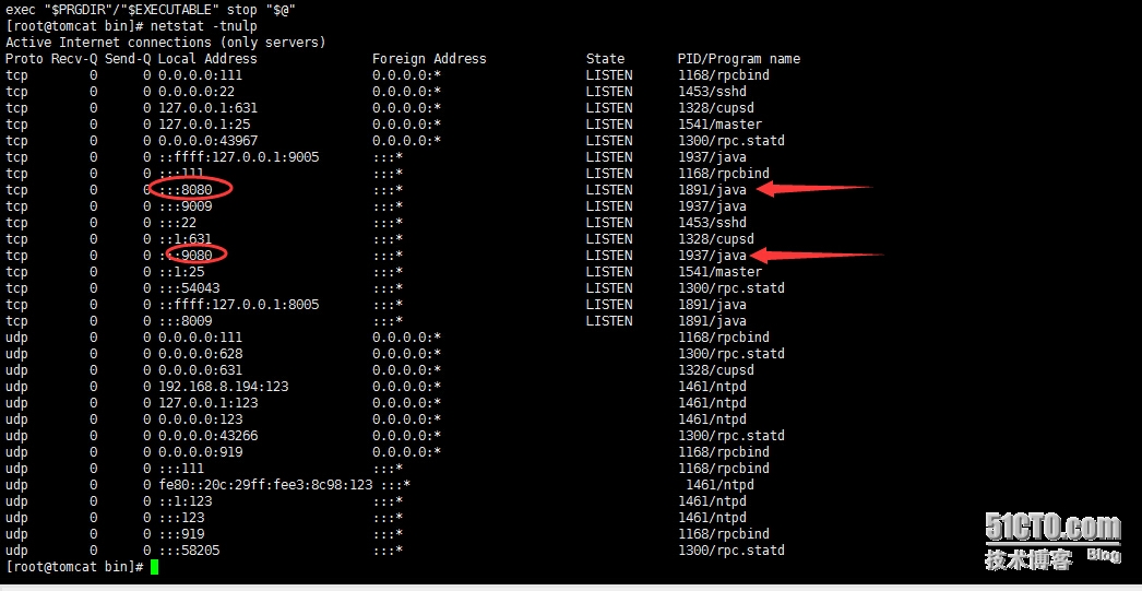 linux centos6.5下一台虚拟机搭建多个tomcat方法_搭建_04