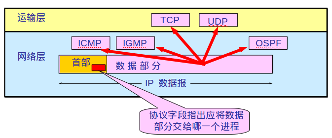 在实践中深入理解IP协议_地址_19