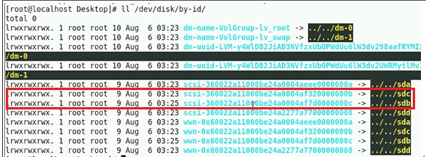 linux虚拟机的scsi设备id与盘符不一致问题的解决_虚拟机设备id_02