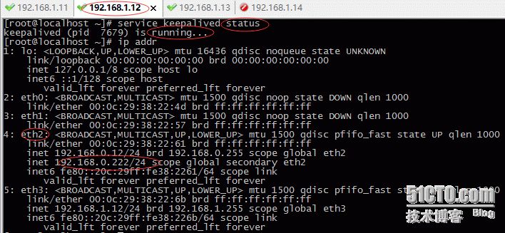 Haproxy+keepalived 高可用负载_Haproxy_07