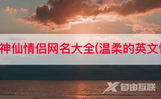 抖音国外神仙情侣网名大全(温柔的英文情侣网名)