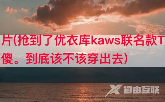 抖音短袖设计图片(抢到了优衣库kaws联名款T恤，穿出去怕撞衫，又怕被人笑傻。到底该不该穿出去)