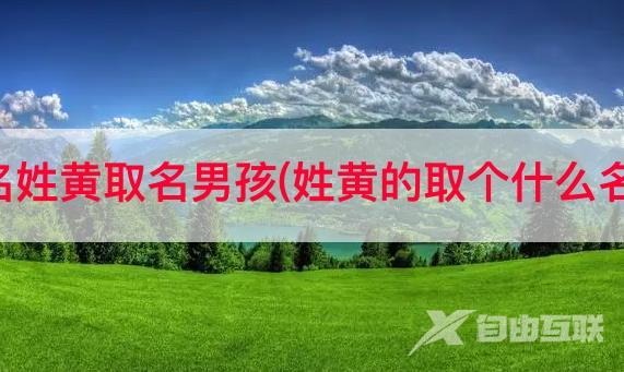 抖音网名姓黄取名男孩(姓黄的取个什么名字好听)