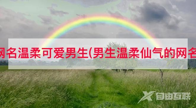 抖音网名温柔可爱男生(男生温柔仙气的网名三字)