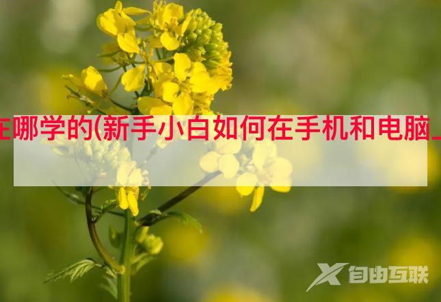 抖音剪辑教学在哪学的(新手小白如何在手机和电脑上快速学习视频剪辑)