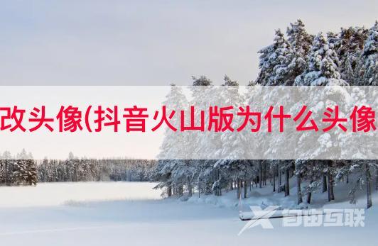 pc端抖音改头像(抖音火山版为什么头像设置不了)