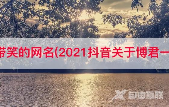 抖音网名带笑的网名(2021抖音关于博君一笑的名字)