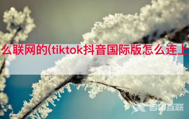 海外抖音怎么联网的(tiktok抖音国际版怎么连上网华为手机)